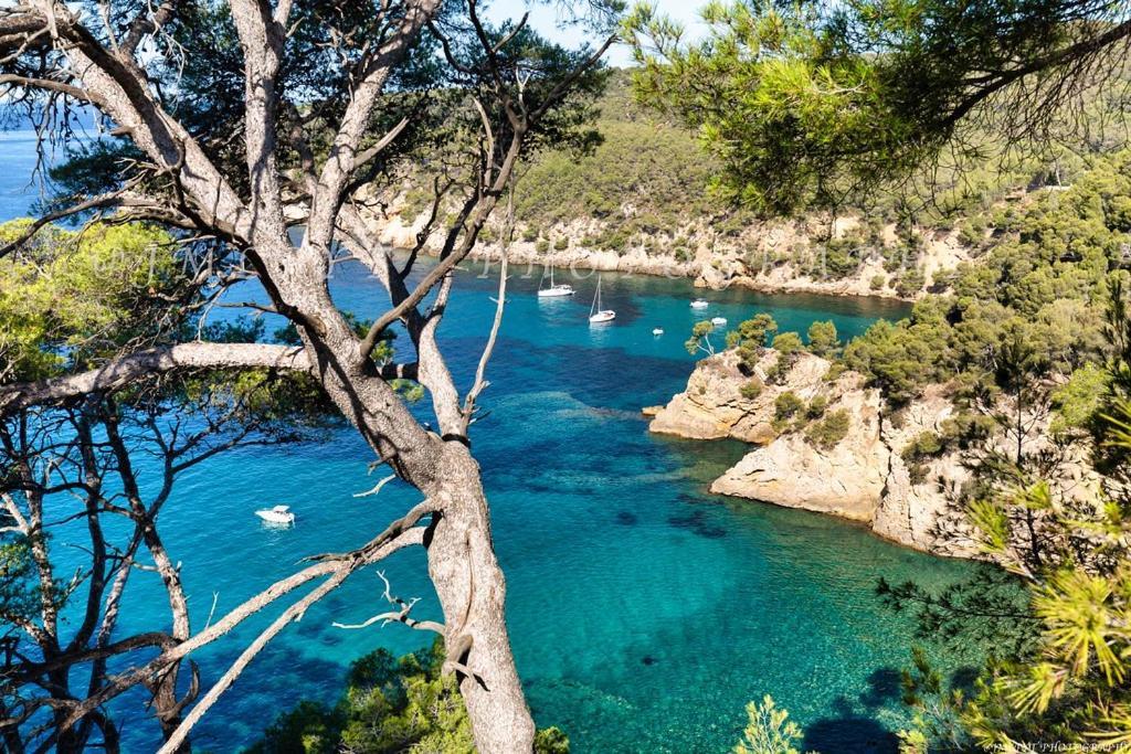 Villa T2 Independante Piscine Privee Jardin Bouc-Bel-Air Εξωτερικό φωτογραφία
